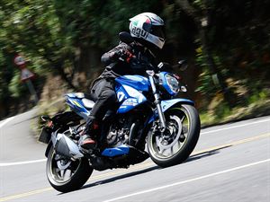 SUZUKI GIXXER 250